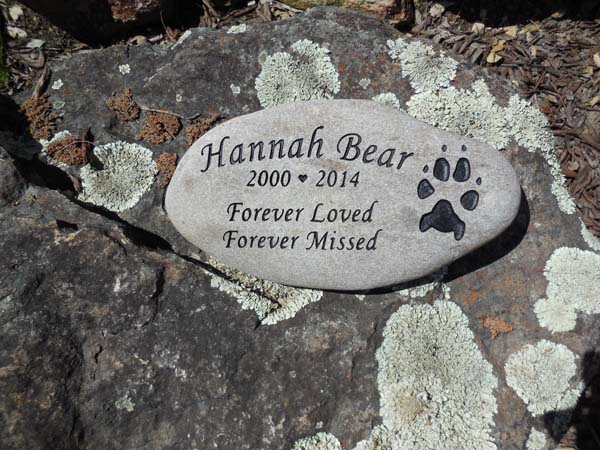 Hannah Bear Hudson.jpg