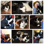 Bertha Freeland 2.jpeg