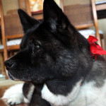 Dakota Cullinane 2023 (4).jpg