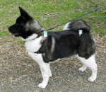 Takoda Cullinane (3).jpg