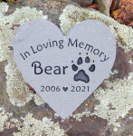 Bear Hamann, VCA Westside.jpg