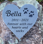 Bella Stewart, Ross Valley Vet.jpg