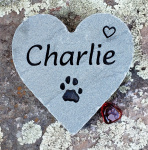 Charlie Losh, VCA Windsor.jpg