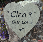 Cleo Carcier, Analy Vet - Copy.JPG