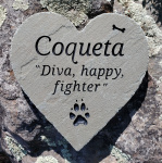 Coqueta Albort, VCA Westside.jpg