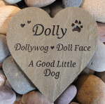 Dolly Knight, VCA Westside - Copy.JPG