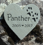 Panther Kite, SVH referral.JPG