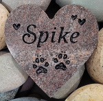 Spike, gift from Kim Windham 3-12-25.jpg