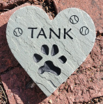 Tank Creel Occidental Vet 2025.jpg