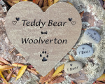 Teddy Bear Woolverton All Tails.jpg