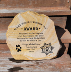 Tom McNeil Award wet, Kathy Watson.jpg