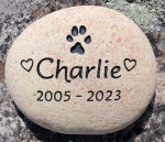 Charlie Miyoshi All Tails Wagging.jpg