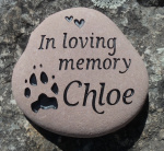 Chloe Bogdan, Guardian Pet.JPG